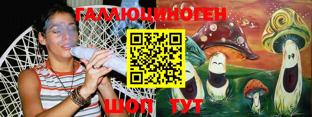 Псилоцибиновые грибы Cubensis  Вход с VPN  Гатчина 