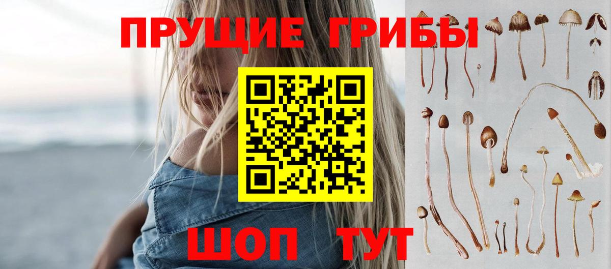 Псилоцибиновые грибы GOLDEN TEACHER Гатчина